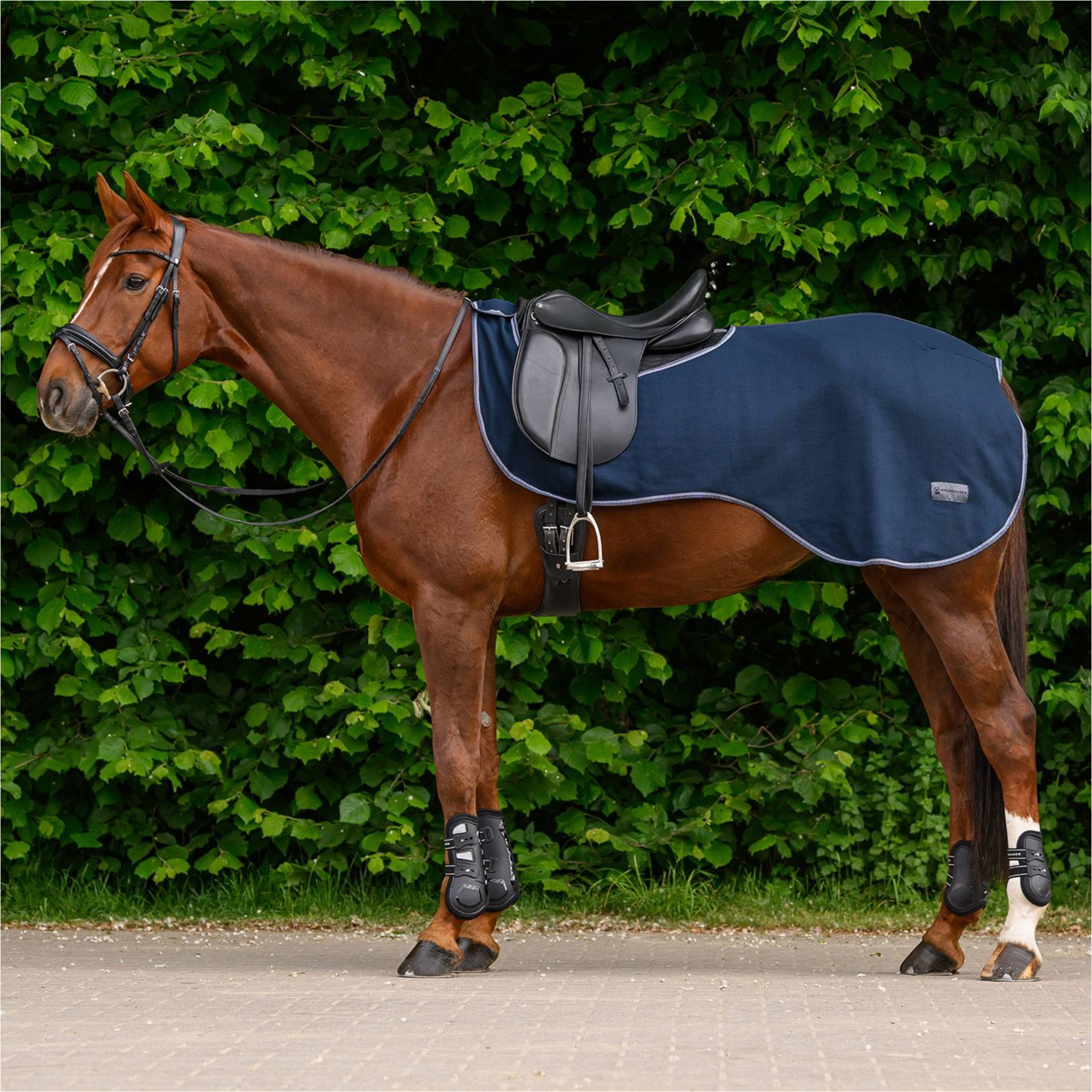 2026 Waldhausen Wirtschaftliches Fleece-Übungsteppich 6320205 - Night Blue